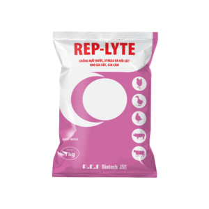 Trang chủ 17 REP - LYTE